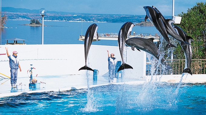 【来て！見て！触れる体験型水族館】海の世界を見に行こう！のとじま水族館入場券付プラン